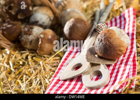 Les champignons fraîchement prélevé sur la paille Banque D'Images