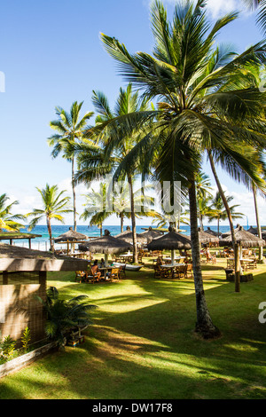 Restaurant de plage de Itacarezinho. Itacare, Bahia, Brésil. Banque D'Images