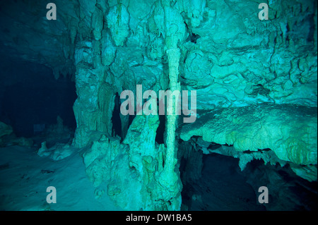 Rock formations dans le Grand sous-marin cénote, péninsule du Yucatan, Mexique Banque D'Images