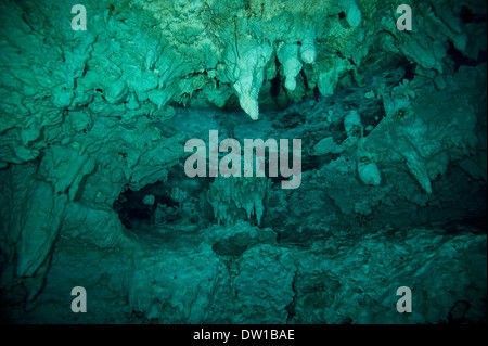 Rock formations dans le Grand sous-marin cénote, péninsule du Yucatan, Mexique Banque D'Images