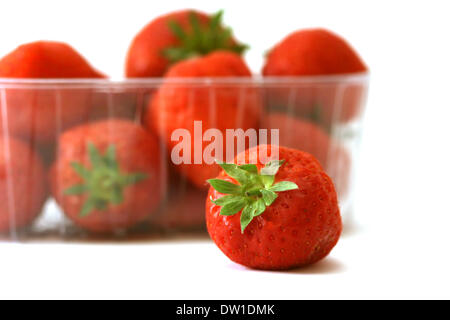 Dans le plat de fraises isolated on white Banque D'Images