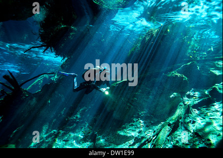 Piscine de plongée sous-marine par le Chac Mool Cenote grotte, péninsule du Yucatan, Mexique Banque D'Images