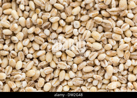 Les petites graines sèches de céréales en arrière-plan de l'alimentation Banque D'Images