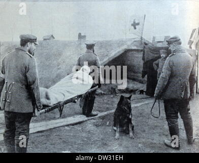 La photo du Berliner Illystrirten Zeitung (Berlin Illustrated journal) de 1915 montre le transport de soldats blessés des lignes de front vers un hôpital de campagne des forces allemandes le long du front oriental. La légende originale se lit comme suit : « transporter un soldat blessé dans un hôpital de campagne de dugout en Pologne russe. Fotoarchiv für Zeitgeschichtee - PAS DE SERVICE DE FIL Banque D'Images