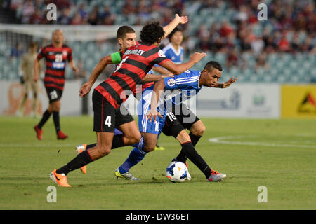 Sydney, Australie. Feb 26, 2014. Avant d'Ulsan Rafinha en action pendant le match de la Ligue des Champions de l'AFC entre Western Sydney Wanderers FC et FC Ulsan Hyundai de Corée du Pirtek, Parramatta Stadium. Ulsan a gagné 3-1. Credit : Action Plus Sport/Alamy Live News Banque D'Images