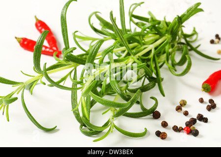 Romarin, poivre et piment rouge - studio shot Banque D'Images