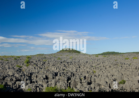 Formations calcaires érodés Tsingy de l'Ankarana réserve spéciale à près de Antsiranana (Diego-Suarez), Madagascar Banque D'Images