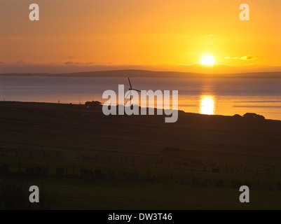 dh Scapa Flow ORPHIR ORKNEY Sunrise éolienne cottages mer royaume-uni écosse lever le soleil de dawn house au-dessus du champ Banque D'Images