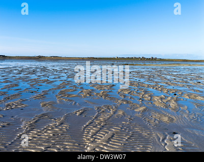 dh Cata Sand SANDAY ORKNEY Beach les motifs de sable se décreusont de la baie d'entrée de sable peu profonde Banque D'Images