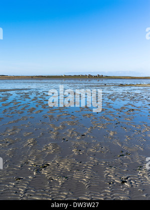 dh Cata Sand SANDAY ORKNEY Beach les motifs de sable se décreusont de la baie d'entrée de sable peu profonde Banque D'Images