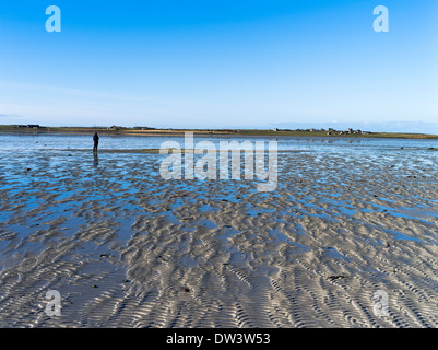 dh Cata Sand SANDAY ORKNEY femme sur la plage les motifs de sable s'enordent de la baie de sable peu profonde Banque D'Images