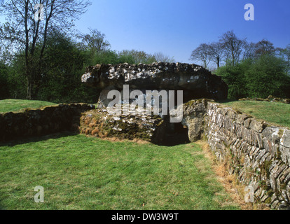 Tinkinswood chambre funéraire dolmen près de St Nicholas Vale of Glamorgan South Wales UK Banque D'Images