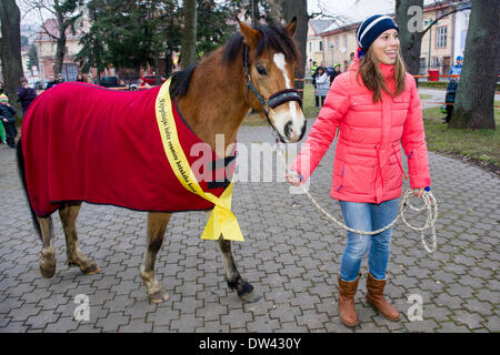 Vrchlabi, République tchèque. Feb 26, 2014. Snowboard cross olympique tchèque Eva Samkova médaillé d'or avec son don, cheval de rêve, photographié après son arrivée à Vrchlabi, République tchèque, le 26 février 2014. © David/Tanecek CTK Photo/Alamy Live News Banque D'Images