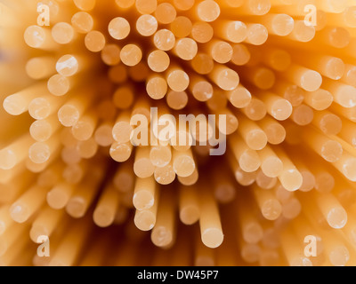 De près de l'extrémité des brins de spaghetti Banque D'Images