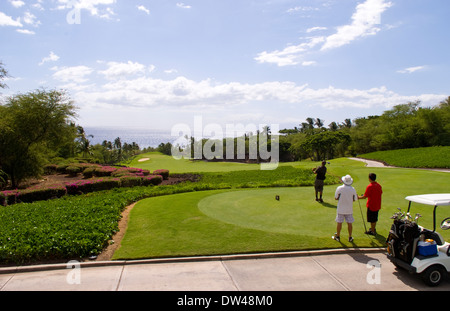 Au golfeur magnifique Wailea Emerald trou # 1 cours avec palmiers fleurs beauté à Maui Hawaii Banque D'Images