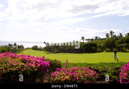 Au golfeur magnifique Wailea Emerald trou # 1 cours avec palmiers fleurs beauté à Maui Hawaii Banque D'Images