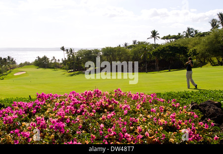 Au golfeur magnifique Wailea Emerald trou # 1 cours avec palmiers fleurs beauté à Maui Hawaii Banque D'Images