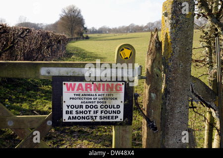 Un sérieux avertissement pour les propriétaires de chiens irresponsables sur une ferme menant à un champ qui permet d'y faire paître les moutons. Banque D'Images