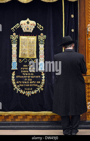 Un homme juif religieux priant devant l'arche sacrée à Loubavitch siège à Crown Heights, Brooklyn, New York Banque D'Images