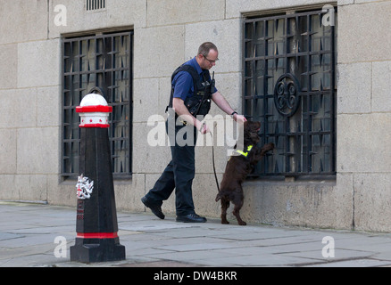 UK, Londres : un chien renifleur de la police balaie la zone à l'extérieur de l'Old Bailey à Londres le 26 février 2014. Banque D'Images