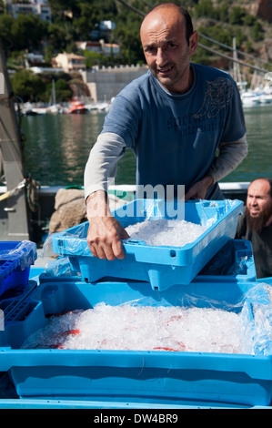 Les pêcheurs de poissons de déchargement à chalutiers Xabia Banque D'Images