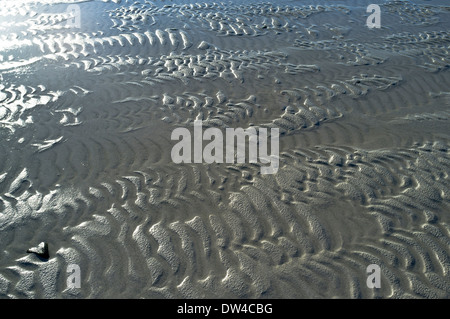 Dh LA TEXTURE DU SABLE de sable à marée basse les schémas abstraits des fonds marins Banque D'Images