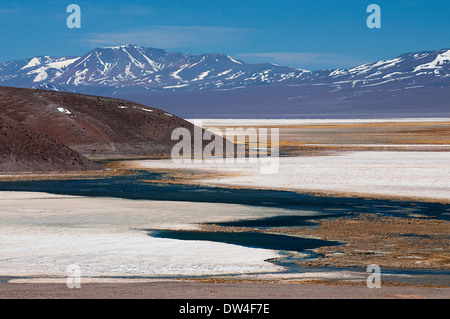 Vue de la Laguna Santa Rosa, dans le Parc National Nevado Tres Cruces, Andes, région d'Atacama, Chili, Amérique du Sud Banque D'Images