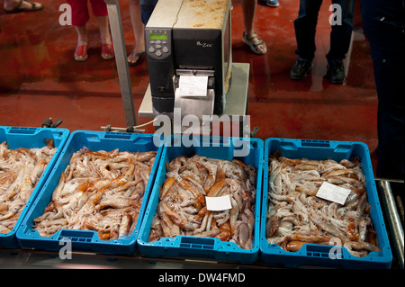 Des fruits de mer d'être vendu aux enchères, Xabia, Espagne, avec beaucoup sur une ceinture et un ticket machine l'émission des billets d'acheteurs. Banque D'Images