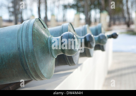 Les canons français capturés sur le champ de Borodino Banque D'Images