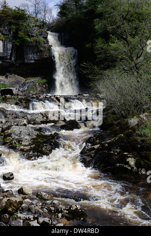 En cascade d'eau de source sur la grande falaise de calcaire de cicatrice de l'Ordovicien inférieur et ardoises de Thornton vigueur, Yorkshire, Angleterre Banque D'Images