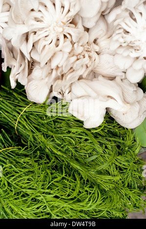 Produits frais bio herbes et champignons au marché asiatique Banque D'Images