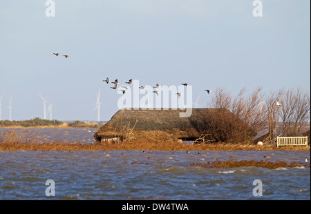 Les inondations de 2013 6 12 en raison de raz-de-marée, les vagues se briser contre les vestiges de défenses maritimes de galets, le CLAJ suivant la mer, Norfolk UK Banque D'Images