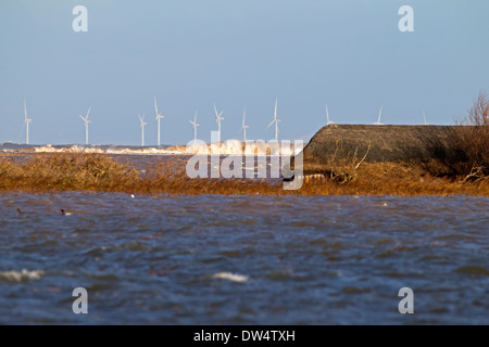 Les inondations du 6 12 2013 en raison d'ondes de marée montrant sur peaux submergé inondé, le CLAJ suivant la mer, Norfolk UK Banque D'Images