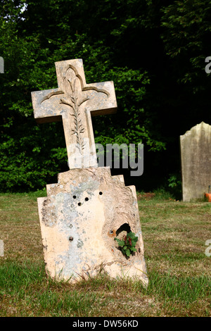 Jeune Arbre de chêne (Quercus robur) croissant dans le trou de pierre tombale à St Mary's churchyard, Chiddingstone , Kent , Angleterre Banque D'Images