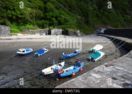 Bateaux de pêche morred derrière mur du port à marée basse au village de pêcheurs de Polkerris , près de St Austell, Cornwall, Angleterre Banque D'Images