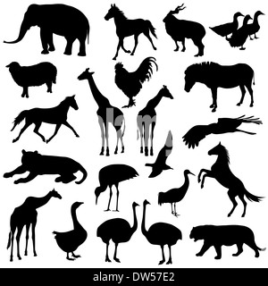 Ensemble Noir silhouettes les animaux de zoo collection sur fond blanc. Vector illustration. Banque D'Images