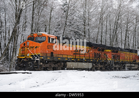 La BNSF Railway locomotives et wagons de charbon mis en garde et la marche au ralenti sur une voie d'évitement pendant une tempête de neige dans la région de Delta, C.-B.) Canada. Banque D'Images