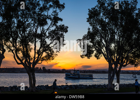 L'Embarcadero Marina Parc arbres au coucher du soleil. San Diego, Californie, États-Unis. Banque D'Images