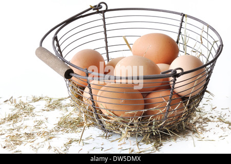 Les œufs fraîchement récoltées dans un panier et de paille sur fond blanc Banque D'Images