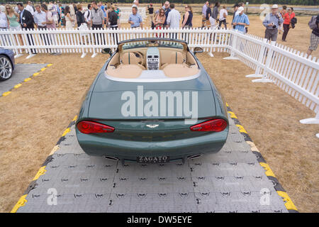 Aston Martin DB9 ZAGATO SPIDER Aston Martin, CENTENNIAL, Chronologie 2013 Célébration du centenaire, 100 ans Aston Martin, Kensington Park, Londres, Royaume-Uni, Europe Banque D'Images