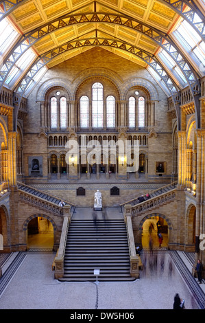 L'Histoire Naturelle de Londres, Angleterre Banque D'Images