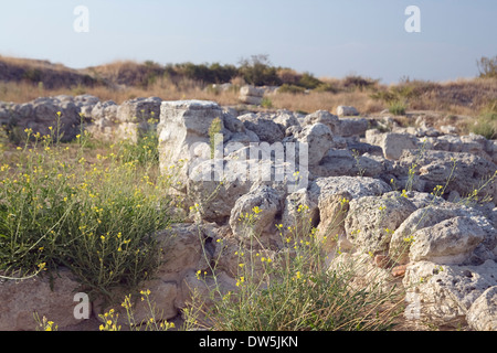 Chersonesos Taurica ruines, musée en plein air à Sébastopol, Ukraine Banque D'Images