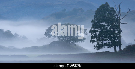 Soir brumeux atmosphérique à côté de la rivière Brathay dans le Lake District, Cumbria, Angleterre. L'automne (octobre) 2012. Banque D'Images