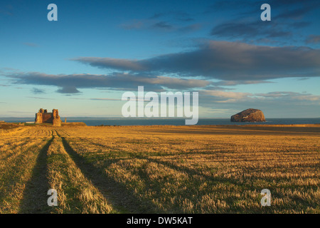 Bass Rock et le Château de Tantallon près de North Berwick sur la Côte d'East Lothian, Ecosse Banque D'Images