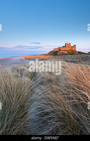 La lumière du soleil illumine le soir, Château de Bamburgh Northumberland, Angleterre. Printemps (avril) 2013. Banque D'Images