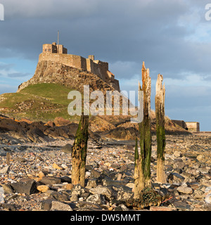 Château de Lindisfarne sur Holy Island, Northumberland, Angleterre. Printemps (avril) 2013. Banque D'Images