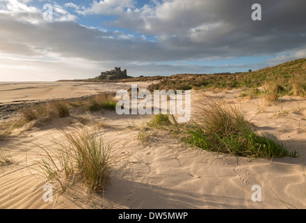 Au-dessus de dunes de sable de plage de Bamburgh, avec en arrière-plan le château de Bamburgh, Northumberland, Angleterre. Banque D'Images