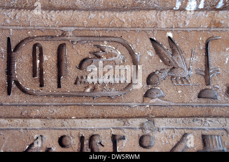 La cartouche dans le porte à faux du mastaba de Unas dans Sakkara Banque D'Images