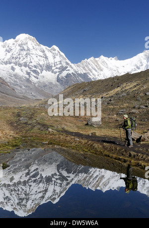 Une dame trekker par un lac encore parfaitement dans le sanctuaire de l'Annapurna au Népal Banque D'Images