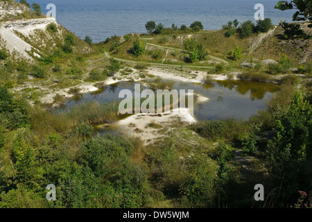 Holtug chack fosse par Stevns, la Nouvelle-Zélande, le Danemark. La nature restaurée. Banque D'Images